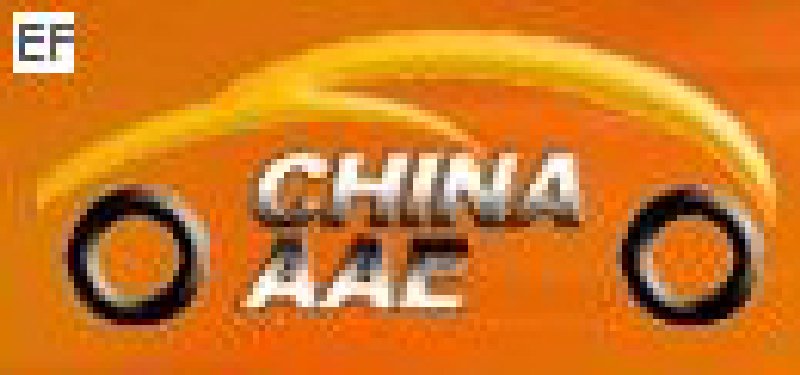 2008第六屆中國(廣州)國際汽車用品及汽車改裝展<BR>汽車零部件展<br>汽車保修檢測診斷設備展