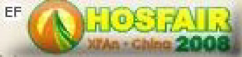 2008第九屆西安國際酒店設備及用品展覽會