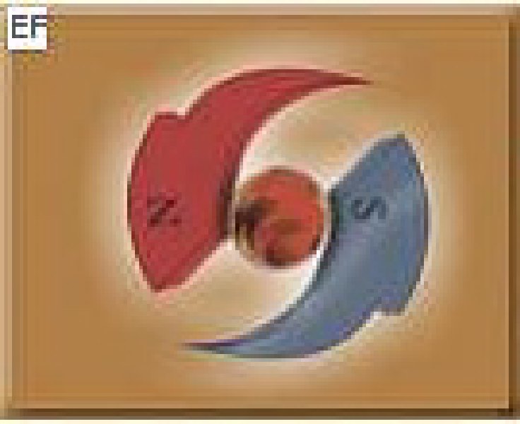 2008第六屆深圳國(guó)際磁性材料及設(shè)備、技術(shù)展覽會(huì)<br>2008第六屆深圳國(guó)際小電機(jī)及配套產(chǎn)品展覽會(huì)