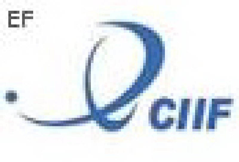 第二屆中國(上海)中小創業項目和投資加盟展覽會