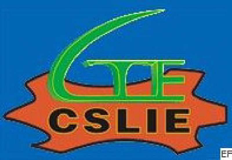 2010首屆中國(上海)國際人造革合成革工業(yè)展覽會(huì)