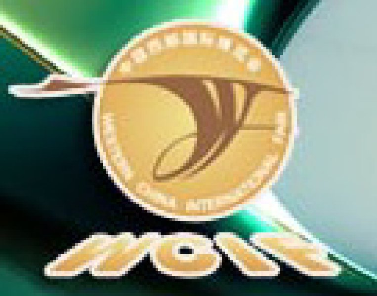 2010年中國西部國際博覽會